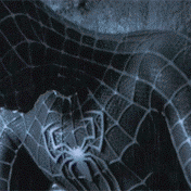 pic for Spiderman 3  176x176